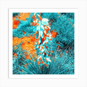 Yucca blooms Art Print