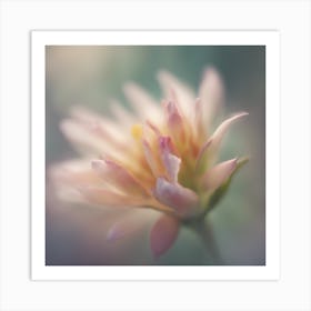 A Close Up Of A Delicategentle Petals Bud Just Beginning To Bloom, With Soft Petals And Hints Of Vib Art Print