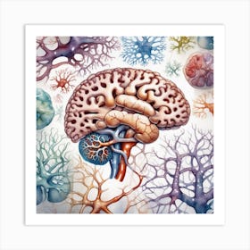 Brain And Nervous System 5 Art Print