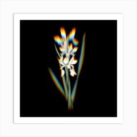Prism Shift Yellow Banded Iris Botanical Illustration on Black n.0322 Art Print