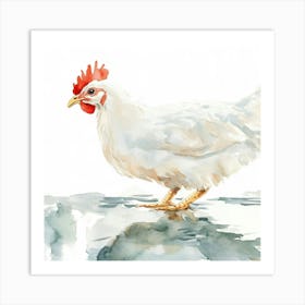 Rooster Watercolor Painting Póster