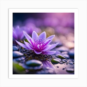 Water Lily 2 Art Print