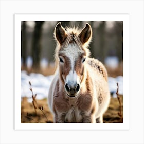 Horse Animal Grass Breeding Head Pasture Donkey Standing Farm Cute White Background Natu (4) Art Print