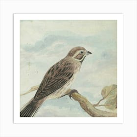 Sparrow On A Branch Art Print