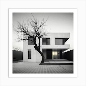 Modern House With Tree Art Print