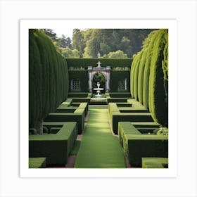 formal hedges Art Print