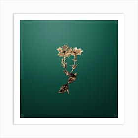 Gold Botanical Bunge's Lychnis Flower on Dark Spring Green n.4546 Art Print