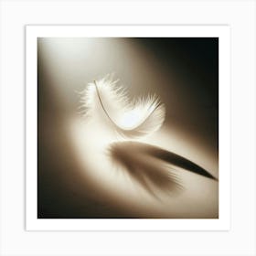 Feather - Feather Stock Videos & Royalty-Free Footage Art Print