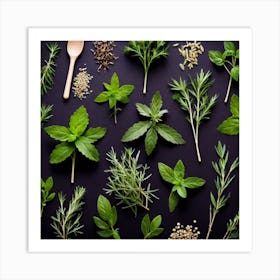 Top View Of Herbs On Black Background 3 Art Print