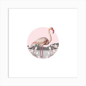 Flamingo Collage Square Art Print