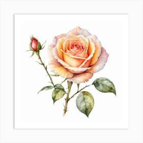 Watercolor Rose Art Print