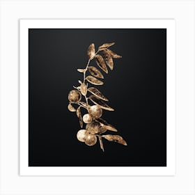 Gold Botanical Chinese Jujube on Wrought Iron Black Art Print