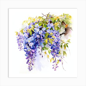 Watercolor Wisteria Flower Art Print