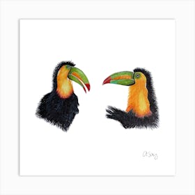 Toucans 2 Art Print