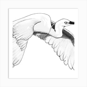 Egret In Flight Art Print