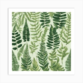 Ferns 20 Art Print