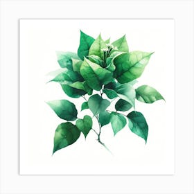 Green Leaves On A Branch Art Print