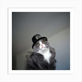 Cat In Hat Art Print