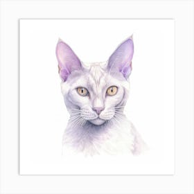 Thai Lilac Cat Portrait 2 Art Print