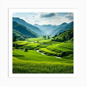 Rice Fields In Vietnam 3 Art Print