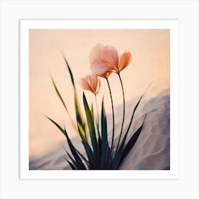 Dune Flowers No 3 Art Print