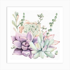 Pretty Succulents Watercolor Painting Art Print