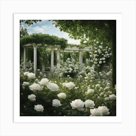 White Roses Art Print