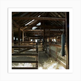 Farm 012 Art Print