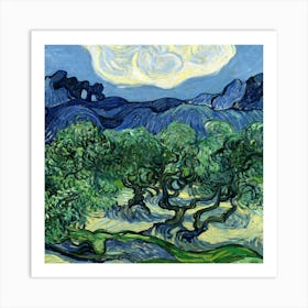 Olive Trees Art Print