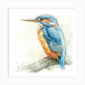 Kingfisher Art Print