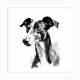 Black and White Greyhound drawing 1 Art Print