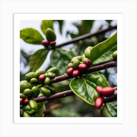 Coffee Beans On A Tree 24 Art Print