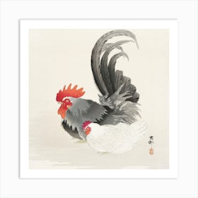Chicken And Cock, Ohara Koson Art Print
