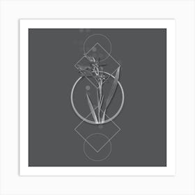 Vintage Gladiolus Cuspidatus Botanical with Line Motif and Dot Pattern in Ghost Gray n.0270 Art Print