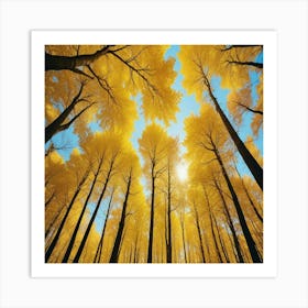 Bosque Cupula De Arboles Art Print