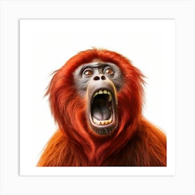 Orangutan 2 Art Print