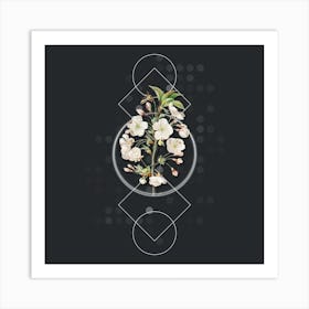 Vintage Pear Tree Flowers Botanical with Geometric Line Motif and Dot Pattern Art Print