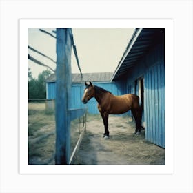 Horse At the blue Barn Art Print