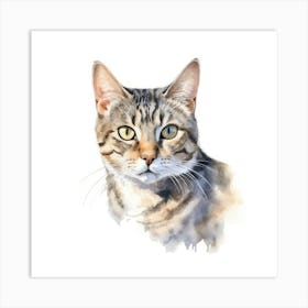 American Wirehair Shorthair Cat Portrait 3 1 Art Print