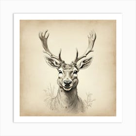 Deer Head 12 Art Print