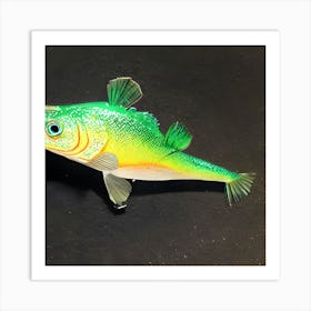 Bass Fishing Lure Art Print