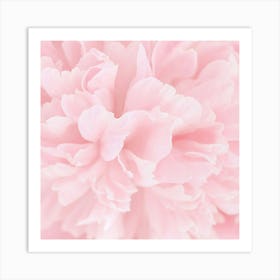 Pink Peony Art Print