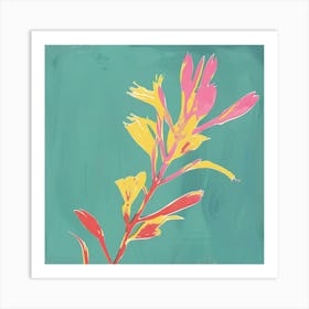 Kangaroo Paw Flower 2 Square Flower Illustration Art Print