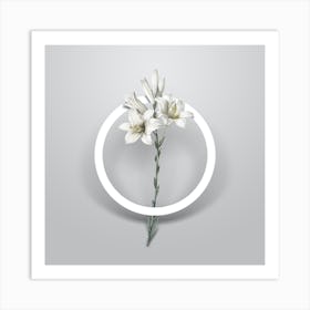 Vintage White Lily Minimalist Botanical Geometric Circle on Soft Gray n.0214 Art Print