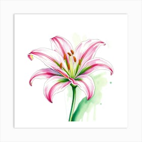 Pink Lily 10 Art Print