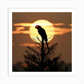 Parrot At Sunset 1 Art Print