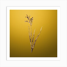 Gold Botanical Gladiolus Cunonius on Mango Yellow n.3807 Art Print
