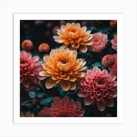 Dahlia mix Art Print