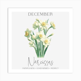 Narcissus - December Birthday Art Print