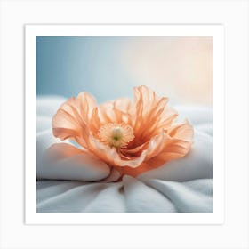 Poppy Flower On A Bed 1 Art Print